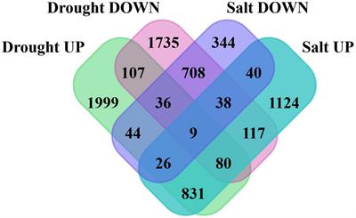 Transcriptome Meta-Analysis Associated Targeting Hub Genes and Pathways of Drought and Salt Stress Responses in Cotton (Gossypium hirsutum): A Network Biology Approach